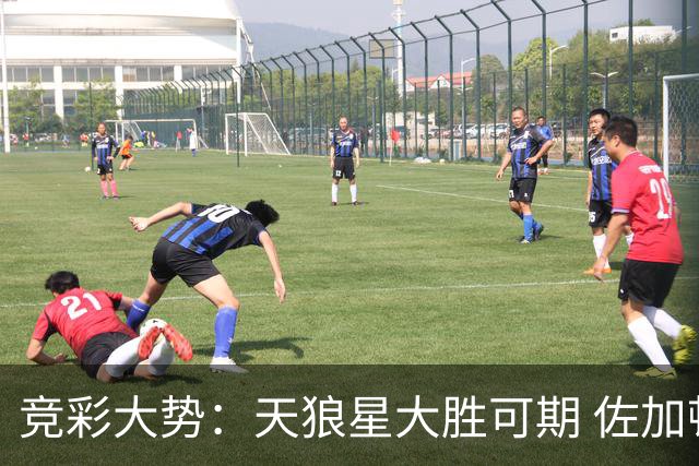 竞彩大势：天狼星大胜可期 佐加顿斯客场凯旋